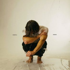 Honestly, (Remixes) album cover