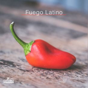 FUEGO LATINO album cover