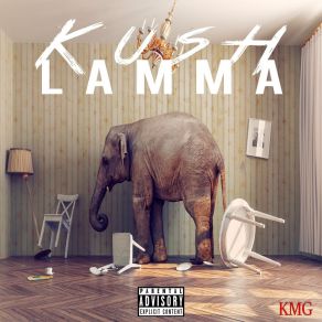 Elephant In The Room album cover