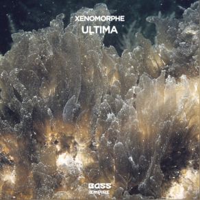 Ultima album cover