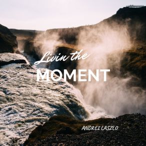 Livin The Moment album cover