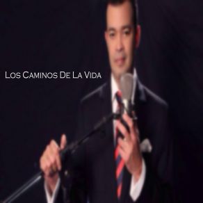 Los Caminos De La Vida album cover