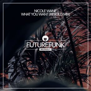 What You Want (Rebuild Mix) album cover