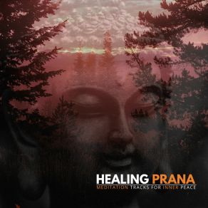 Healing Prana - Meditation Tracks For Inner Peace album cover