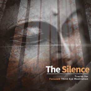 The Silence - Tracks For Focused Third Eye Meditation album cover