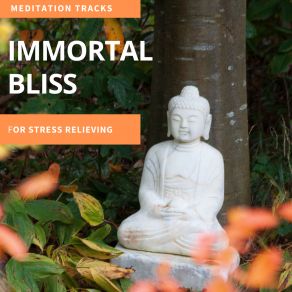Immortal Bliss - Meditation Tracks For Stress Relieving album cover