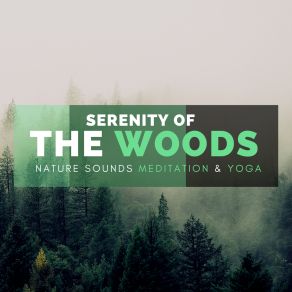 Serenity Of The Woods - Nature Sounds For Meditation & Yoga album cover