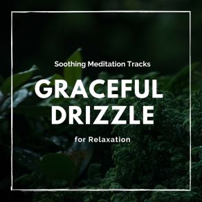 Graceful Drizzle - Soothing Meditation Tracks For Relaxation album cover
