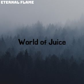 World Of Juice album cover