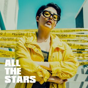 All The Stars album cover