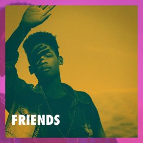 Friends album cover