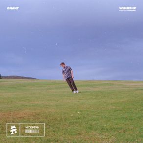 Wishes album cover