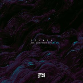 Simple World album cover