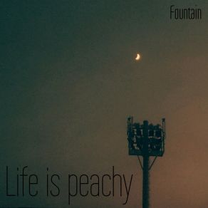 Life Is Peachy album cover