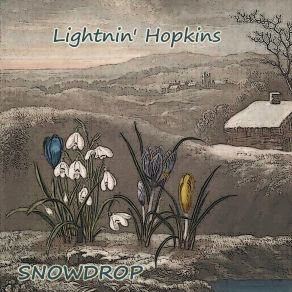 Snowdrop album cover