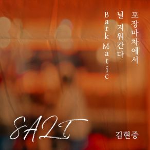 SALT album cover
