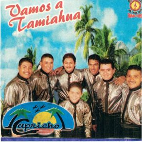 Vamos A Tamiahua album cover