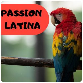 PASSION LATINA album cover