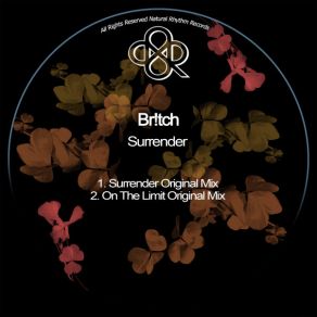 Surrender album cover