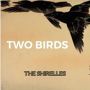 Two Birds album cover