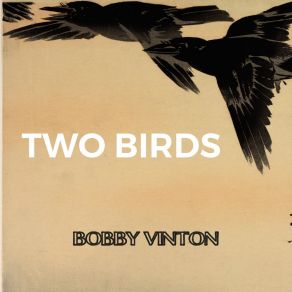 Two Birds album cover