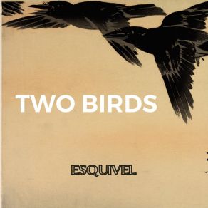 Two Birds album cover