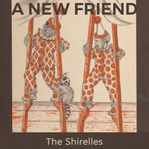 A New Friend album cover