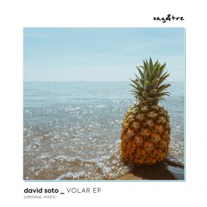 Volar album cover