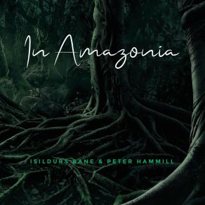 In Amazonia album cover