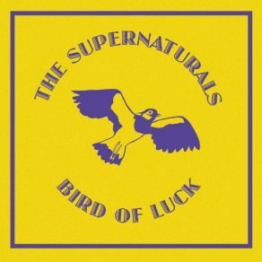 Bird Of Luck album cover