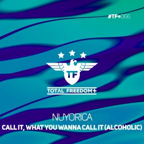 Call It, What You Wanna Call It (Alcoholic) album cover
