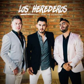 Piel De Durazno album cover