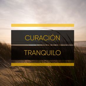 # Curación Tranquilo album cover