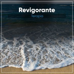 # Revigorante Terapia album cover