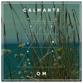 # Calmante Om album cover