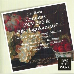 J. S. Bach: Secular Cantatas BWV 206 & 208 album cover