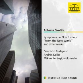Dvořák: Symphony No. 9 In E Minor, Op. 95, B. 178 " From The New World " & Other Works For Orchestra album cover