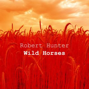 Wild Horses album cover