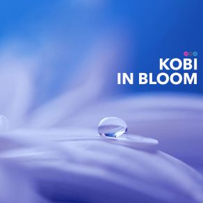 In Bloom album cover