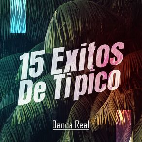 15 Exitos De Tipico (En Vivo) album cover