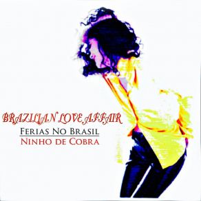 Ferias No Brasil (Remix Version) album cover