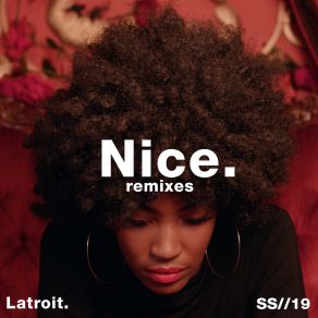 Nice (Twice As Nice) (Remixes) album cover