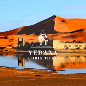 Vedana album cover