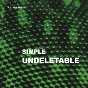 Undeletable album cover
