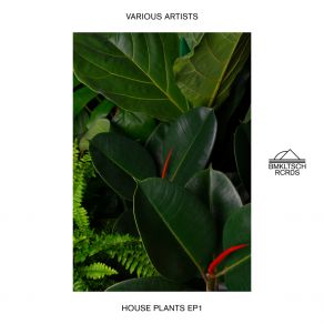 House Plants EP 1 album cover