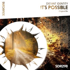 It's Possible (Single) album cover