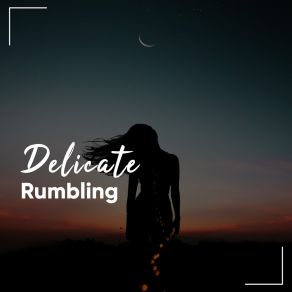 # Delicate Rumbling album cover