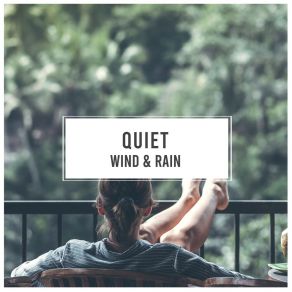 # Quiet Wind & Rain album cover