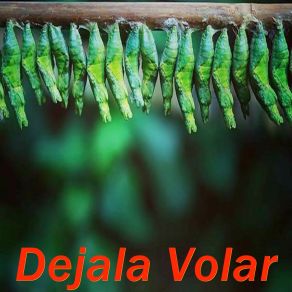 Dejala Volar (Instrumental) album cover