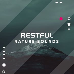 # Restful Nature Sounds album cover